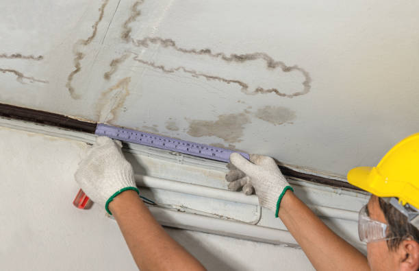 Reliable Water Damage contractor in Whitt, TX by Water Damage Irwin